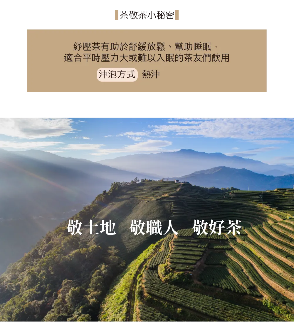 茶敬茶 紓壓茶|立體茶包 Tea to Tea(10入*盒)