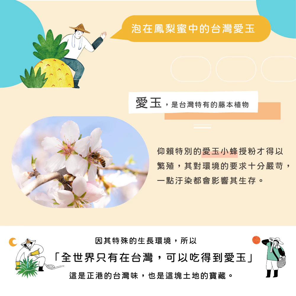 旺萊山 - 鳳梨蜜愛玉吸凍 愛玉禮盒(12入)