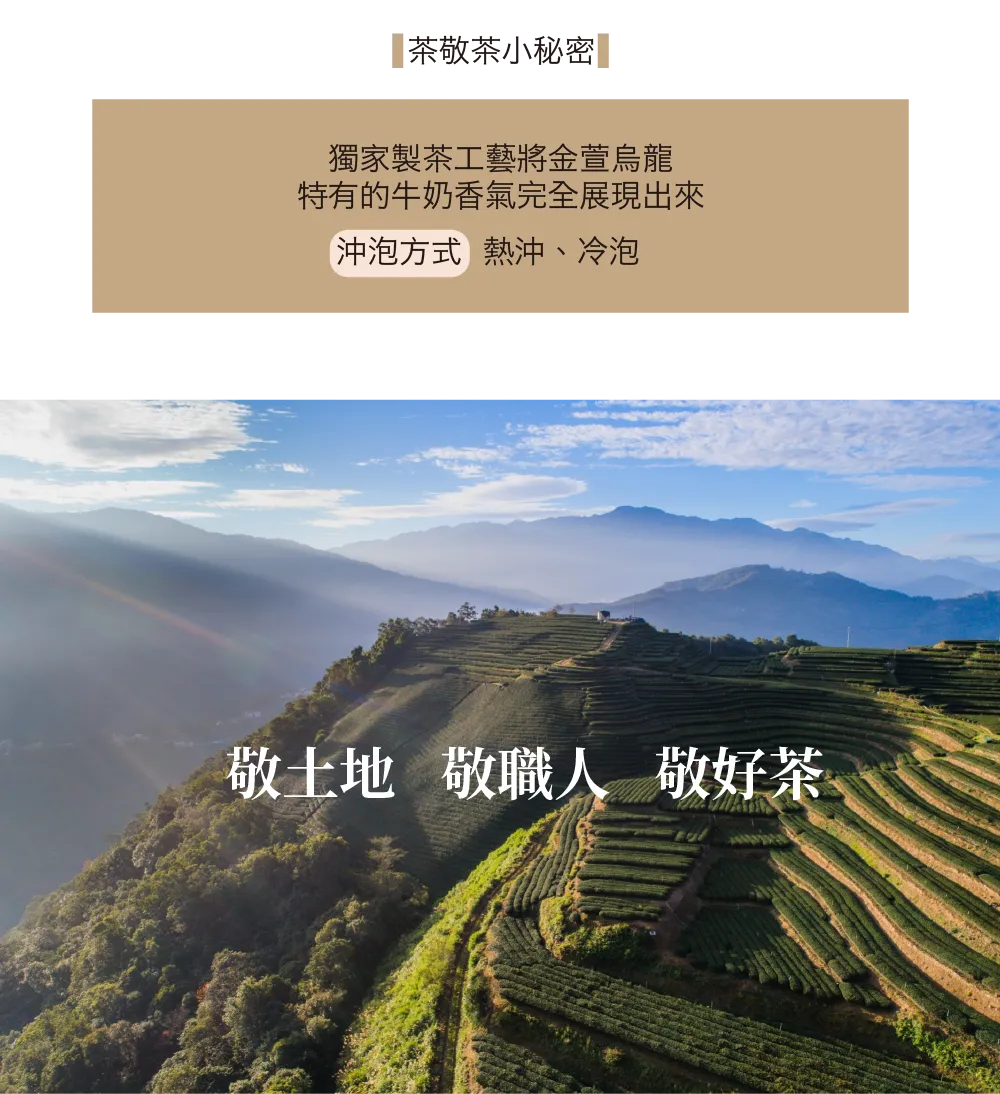 茶敬茶 奶香烏龍|立體茶包 Tea to Tea(10入*盒)