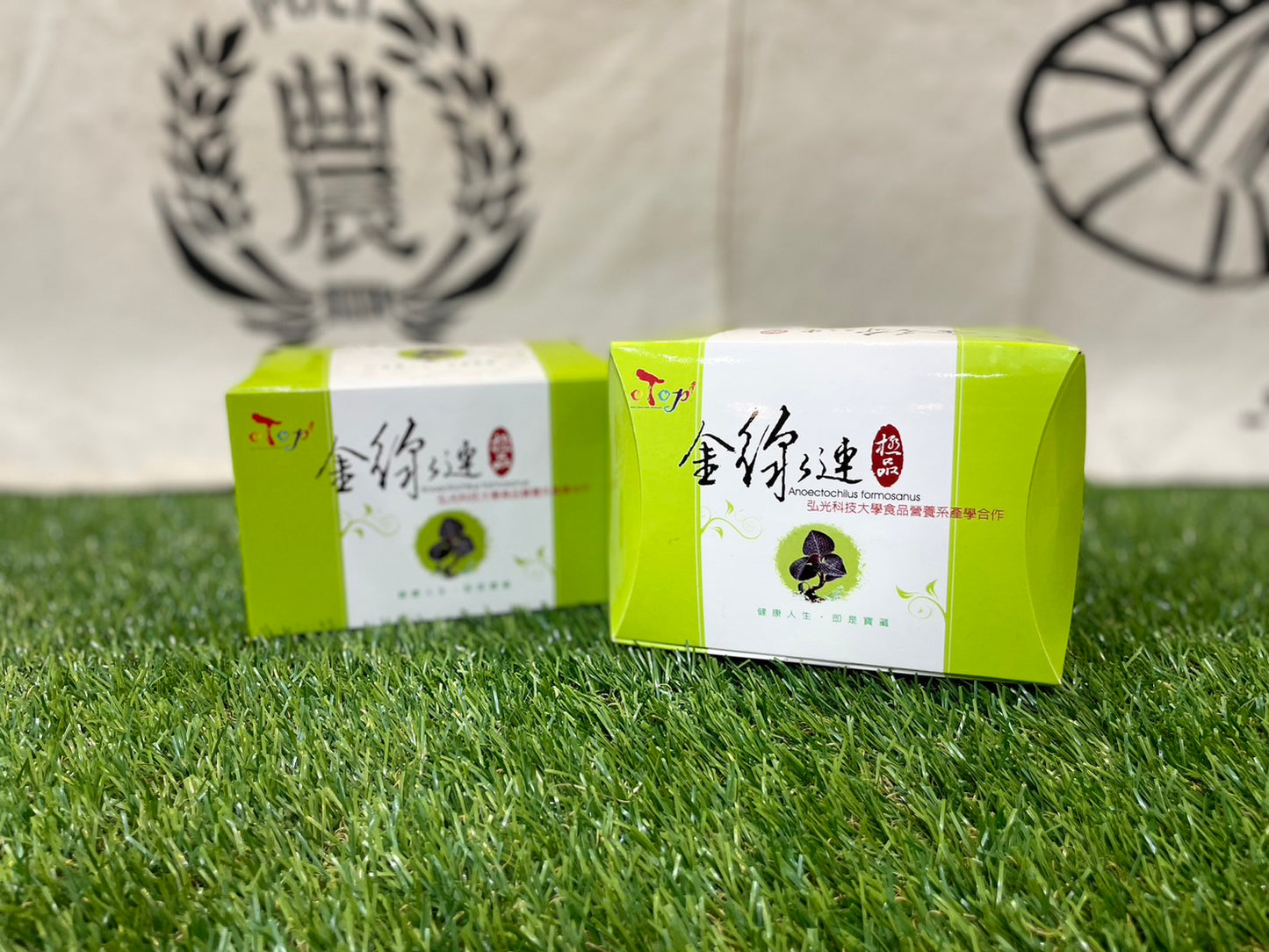 埔里鎮農會 康是寶台灣金線連袋茶(16入*盒)