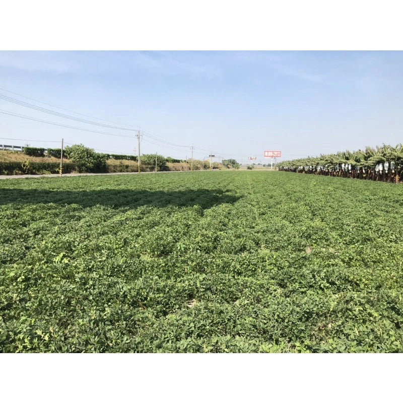 雲林9號花生 九號鹹酥(600*包)