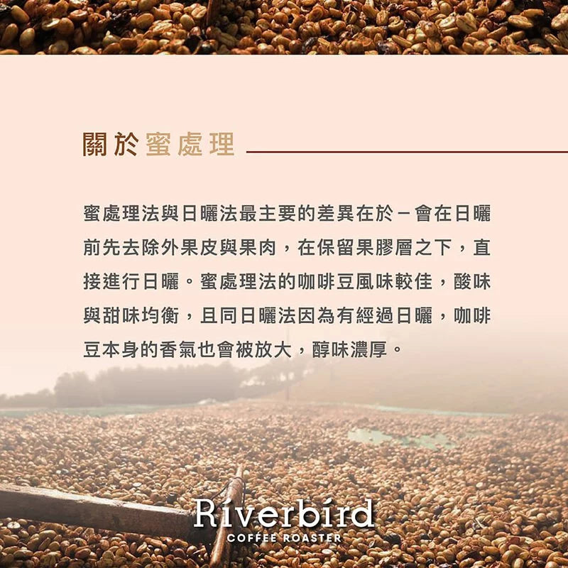 江鳥咖啡 【Riverbird】《10入掛耳》宏都拉斯 法蘭克林小農