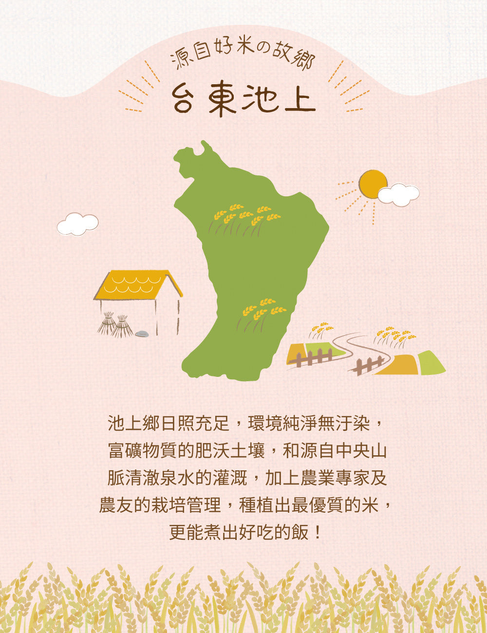 米大師 master mi 池上糙穀飯 (180gx12包/箱)