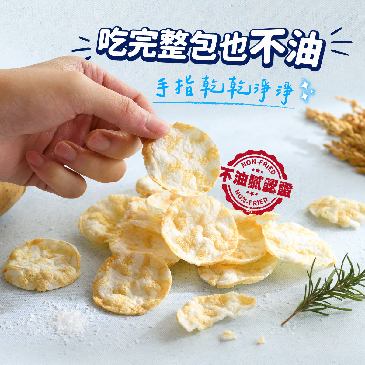 丹尼船長 非油炸米的洋芋片歡樂分享袋|經典日曬湖鹽味 (全素)10g*10入/袋