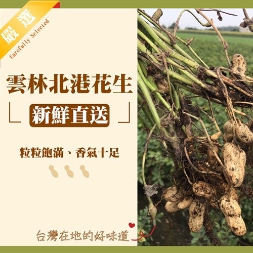 布田食品 艋舺老爐火花生糖 布田花生糖(300g*包)