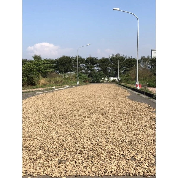 雲林9號花生 原味黑金剛花生(600g*包)