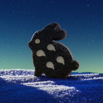 詩特莉 Aunt Stella 星願 茶葉禮盒‼️預購商品: 08.12.25開始出貨‼️