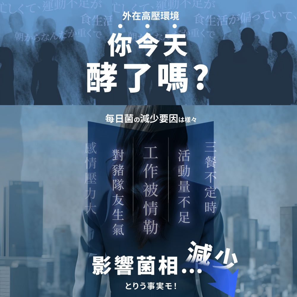 💰檔期促銷~買一送一(03.02.25)💰 纖維順暢組【Simply新普利】野菜多多酵素粉+日本專利益生菌DX(2+2組) 楊丞琳代言益生菌 300億活酵益生菌 孕婦兒童可食(2+2組、共4盒)