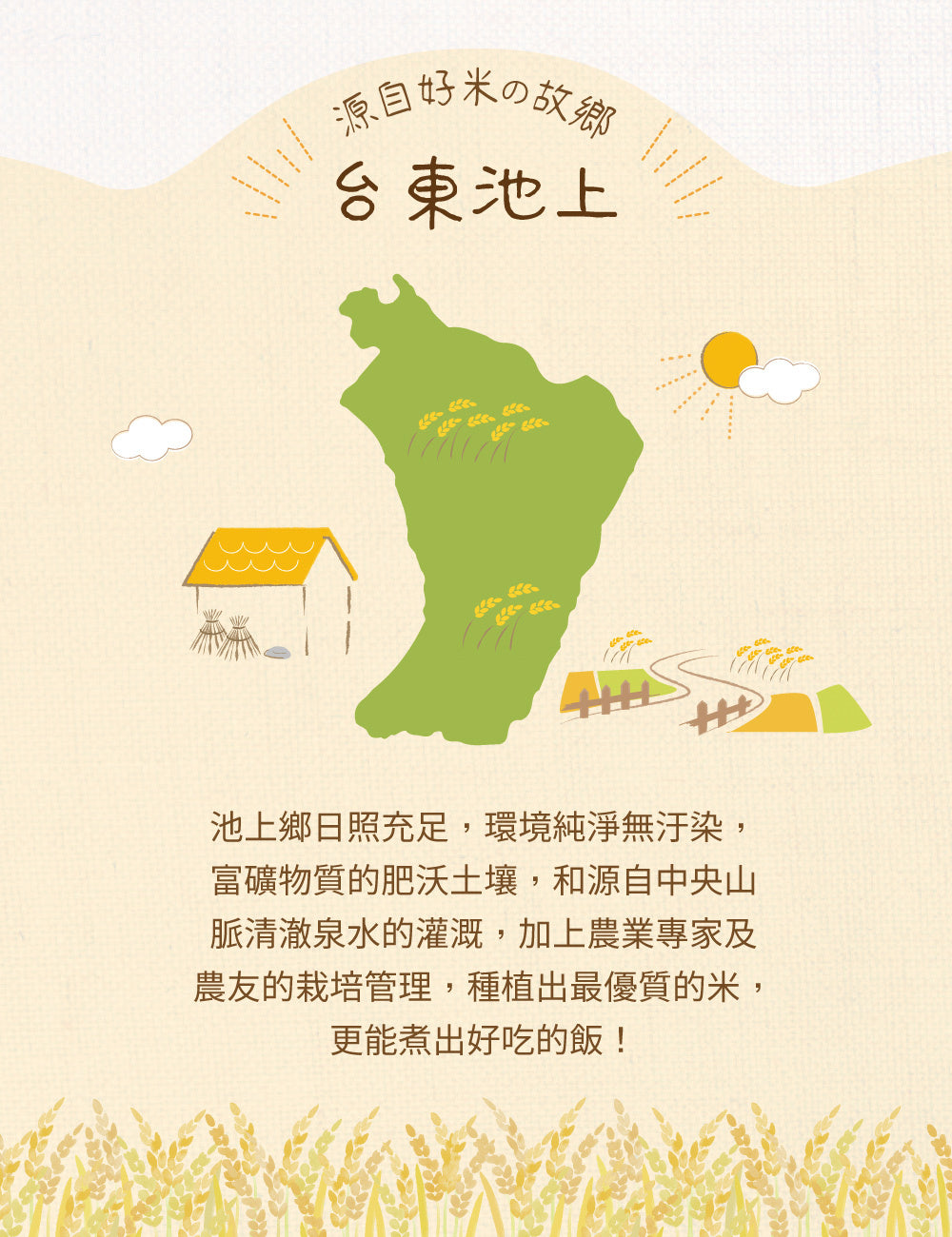 米大師 master mi 池上香米飯 (180g/包)