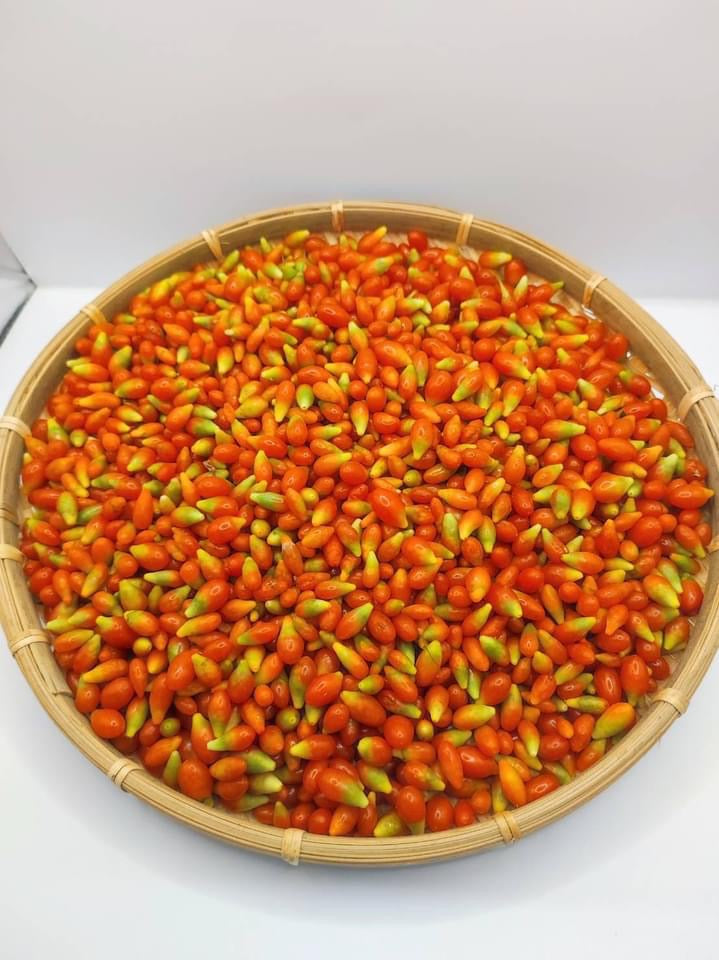 台灣農健康 台灣小農自產自銷 枸杞 Made In Taiwan Wolfberry(230g)