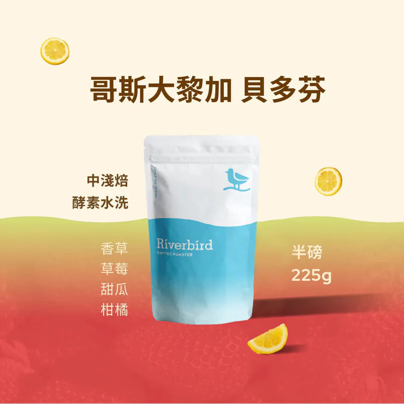 江鳥咖啡 【Riverbird】《225g》哥斯大黎加 貝多芬