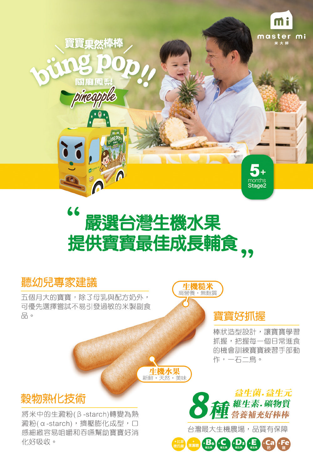 米大師 Master Mi - 寶寶果然棒棒-關廟鳳梨口味(55g)