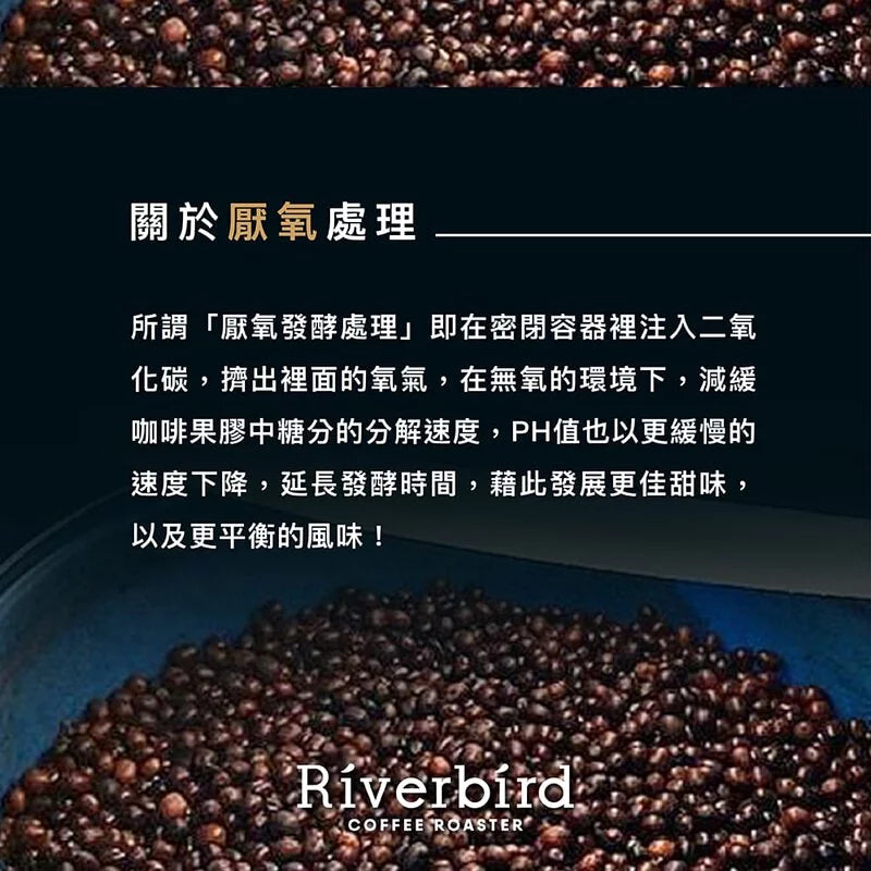 江鳥咖啡 【Riverbird】《225g》瓜地馬拉 法漢尼斯 安娜