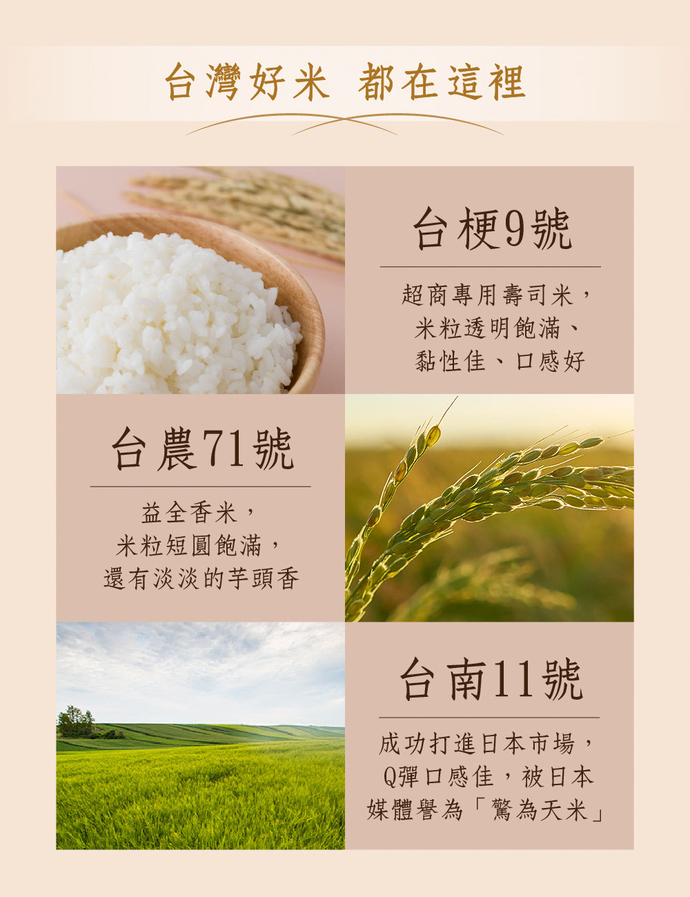 米大師 master mi 常溫熟飯-稻香白飯 (180g/包)
