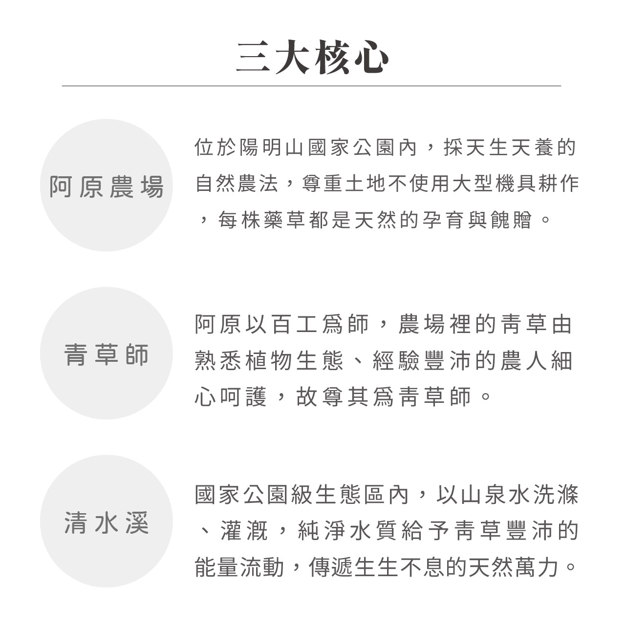 【鎮瀾宮】平安.爐丹艾草皂(1入)