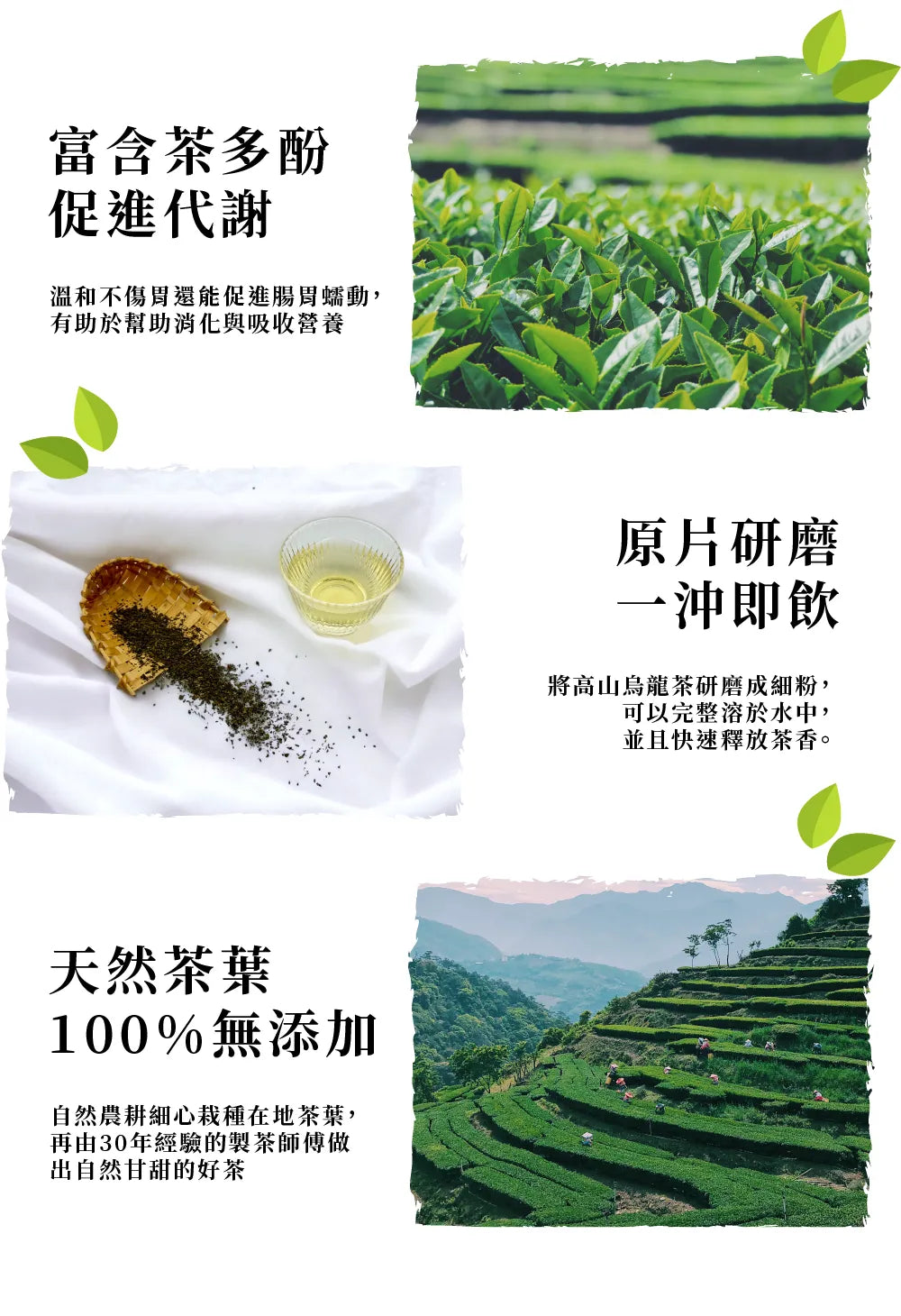 茶敬茶 【鮮萃茶】玉露山青單盒裝(8入) Tea to Tea