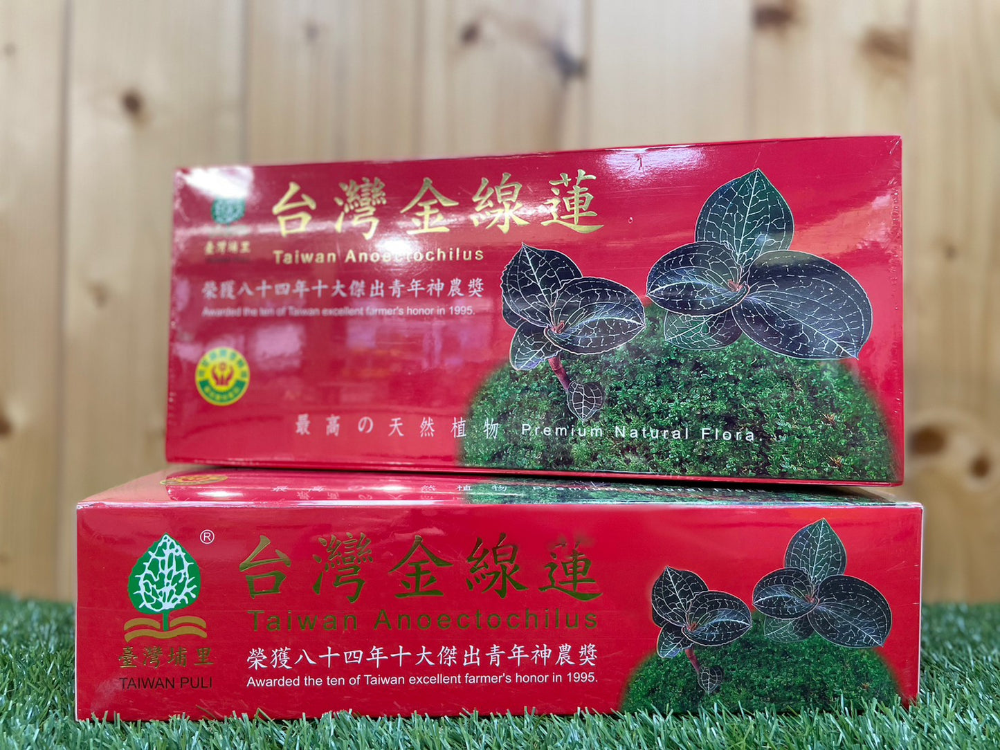 埔里鎮農會 金線蓮茶包