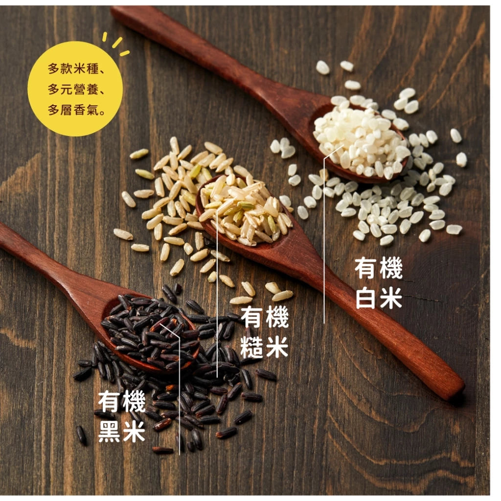 【吳獨食】豆腐乳腰果爆米香(純素)-100克/15小塊/袋