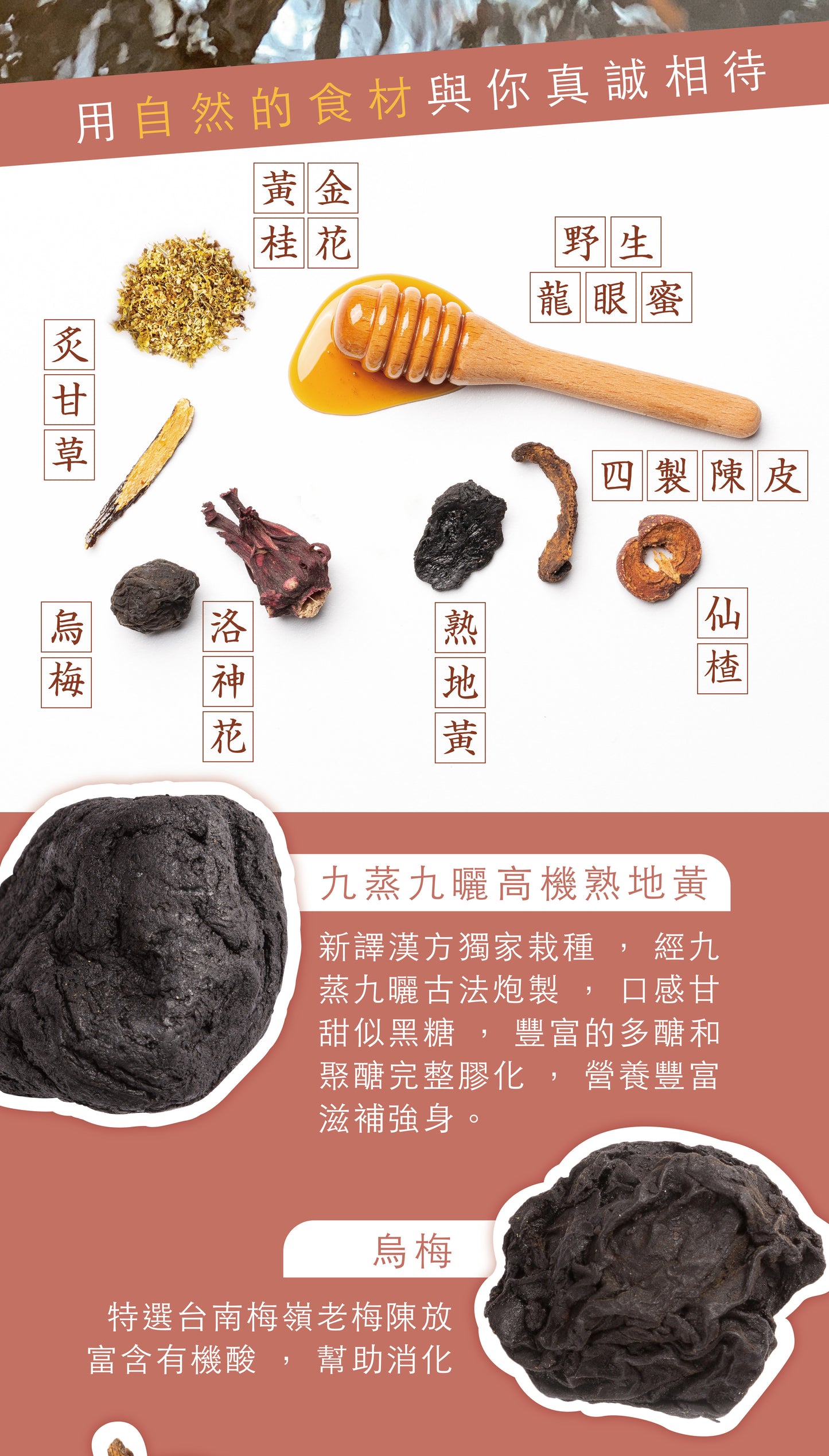 新譯漢方 【甜甜蜜蜜禮盒】黃金烏梅露2入禮盒|節慶送禮.養生禮盒.生日送禮 See In Herb SOUR PLUM DRINK CONCENTRATED GIFT SET (220ml*2瓶)