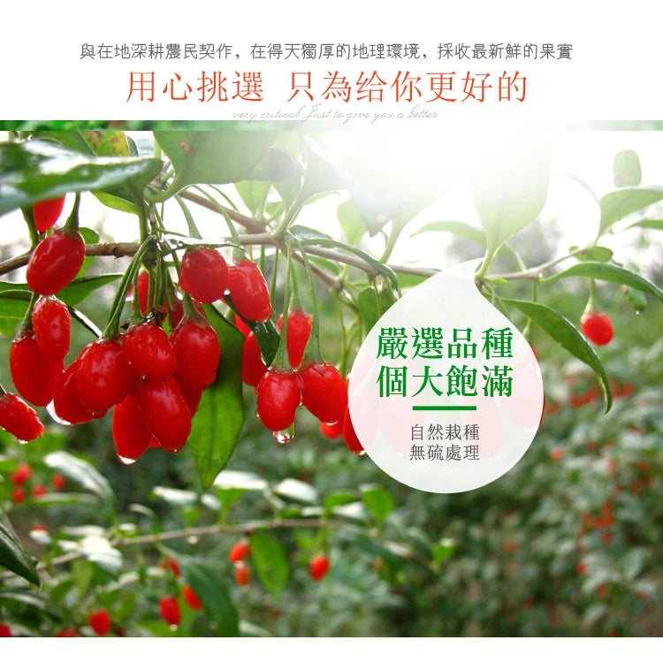 【正心堂】枸杞 (300g)