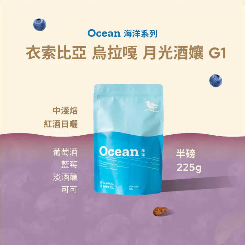 江鳥咖啡 【Riverbird】《225g》衣索比亞 烏拉嘎 月光酒孃G1