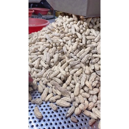 雲林9號花生 原味黑金剛花生(600g*包)