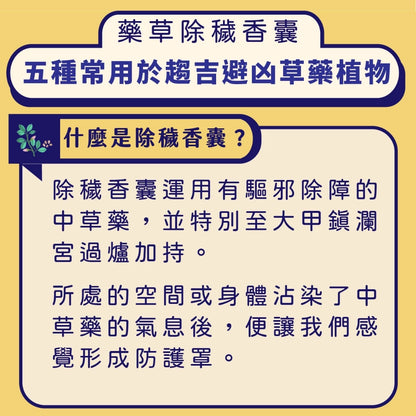 【鎮瀾宮】保身除穢庇佑香囊 除穢包 艾草 大甲媽 香包(1入)