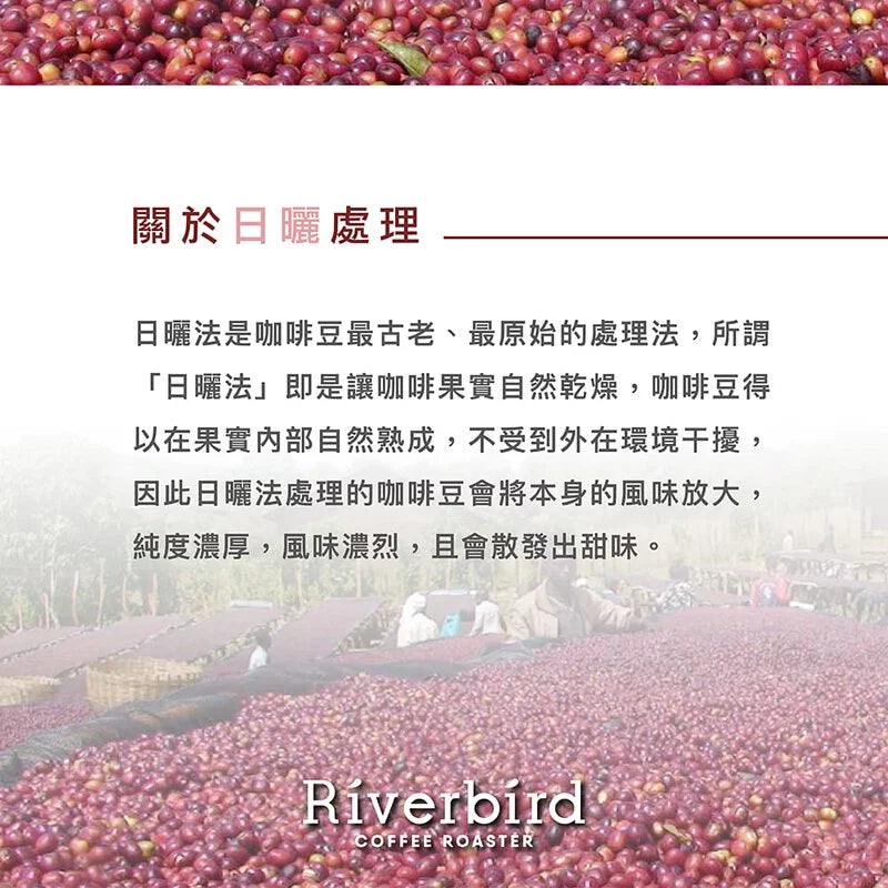 江鳥咖啡 【Riverbird】《225g》衣索比亞 罕貝拉G1