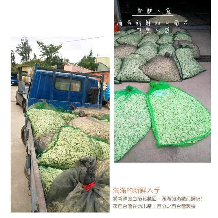【正心堂】台灣白菊花 (37.5g)