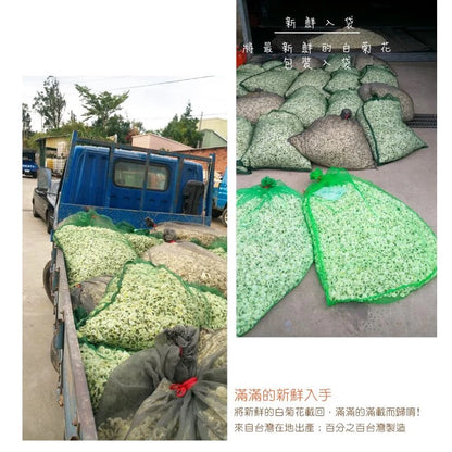 【正心堂】台灣白菊花 (37.5g)