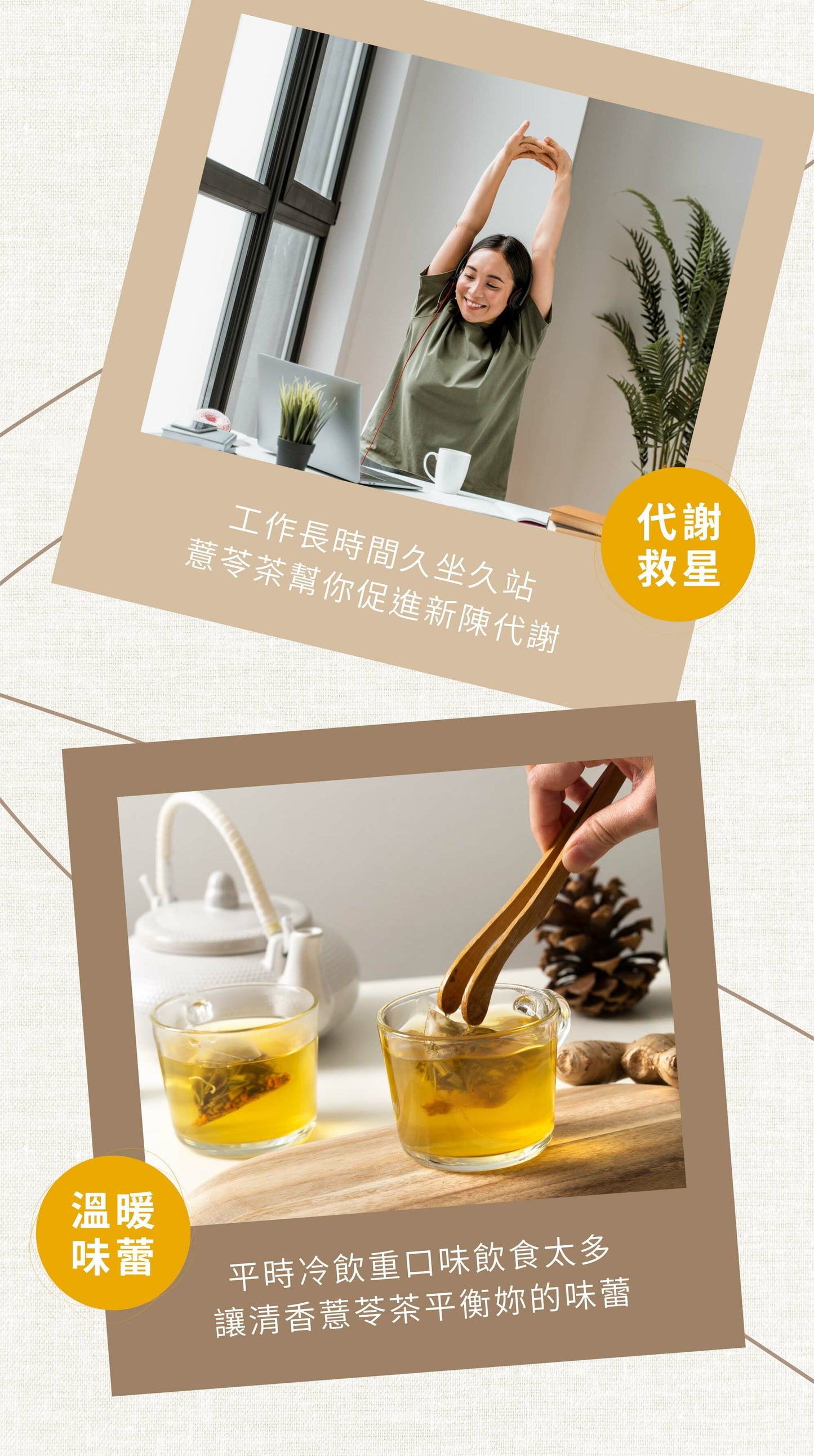 新譯漢方 淨舒薏苓茶｜漢方養生茶包 【調整體質】 See In Herb ANTI-EDEMA TEA (21入)