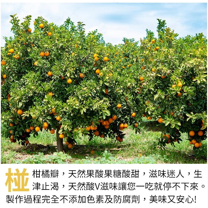 中埔鄉農會 椪柑橘瓣一袋(14g*12入*包)