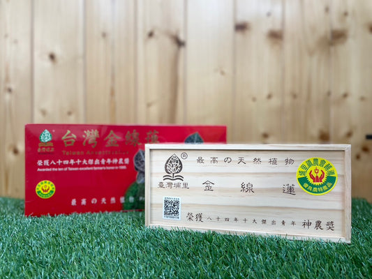 埔里鎮農會 金線蓮茶包
