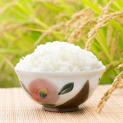 米大師 master mi 池上香米飯 (180g/包)