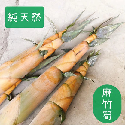 【斑花農田】台南東山麻竹筍★筍絲★筍片★產地直銷★在地小農★純天然★無添加物★無防腐劑★鹽漬