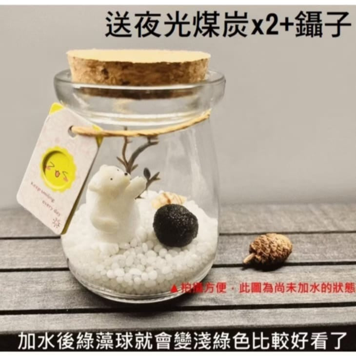 綠藻球生態瓶 微景觀生態瓶 瓶手做DIY(套裝組)(1組)