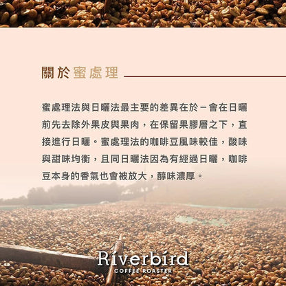 江鳥咖啡 【Riverbird】《10入掛耳》宏都拉斯 法蘭克林小農
