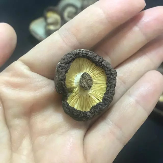 福霖食品 樂耘糧倉 台灣鯉魚尾 乾香菇 150克