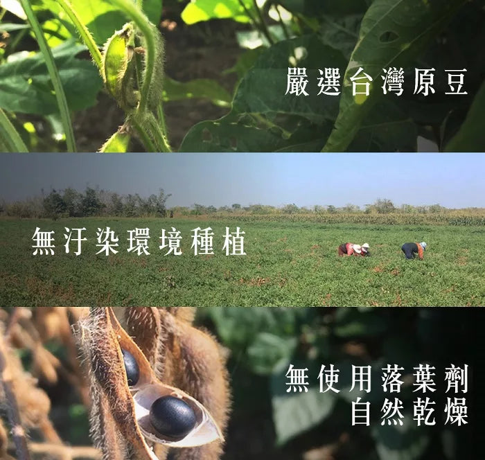 台灣源味本舖 有機黑豆(有機認證 無農藥殘留)(400g*盒)