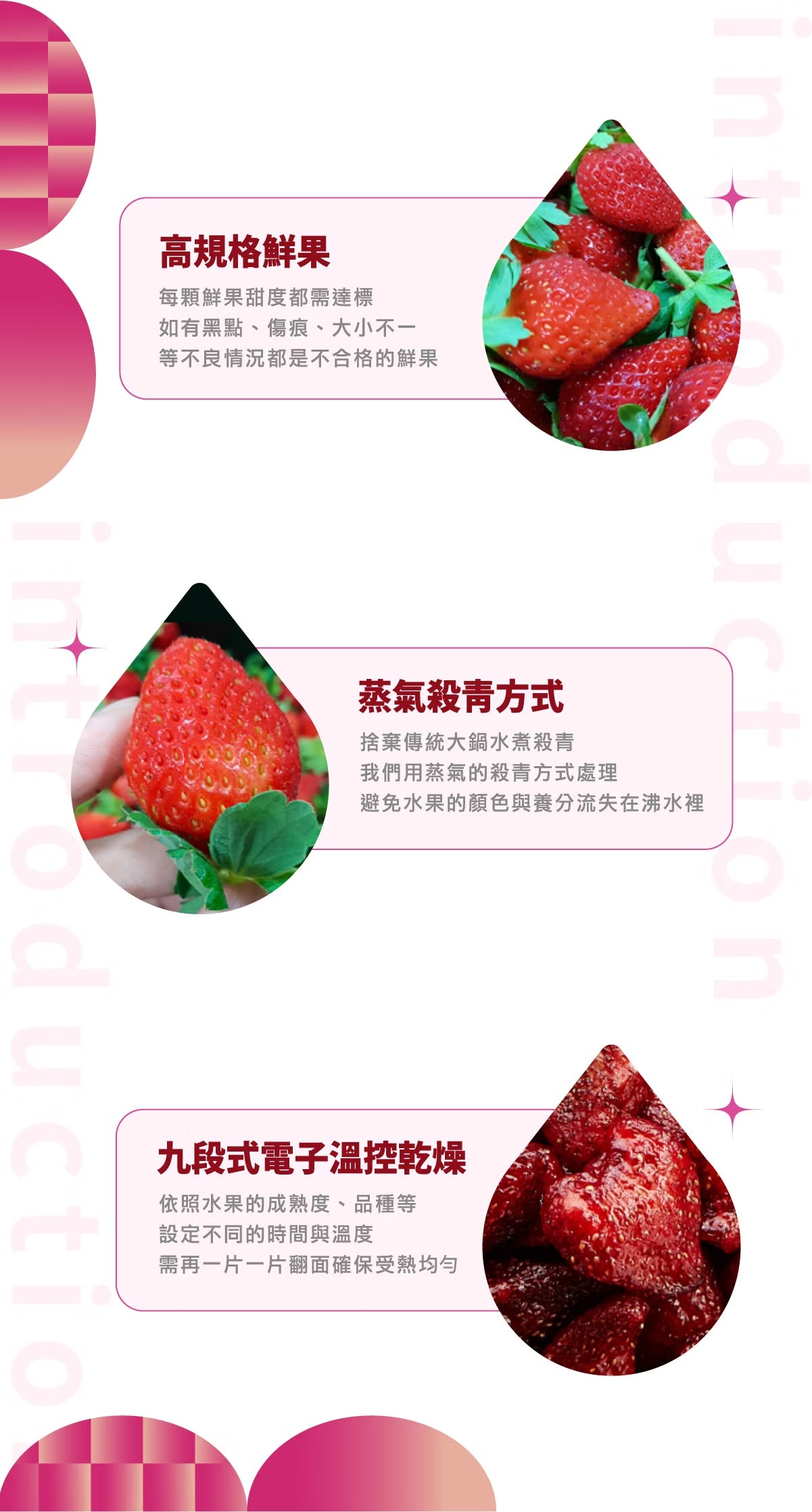 陽光菓菓 草莓乾