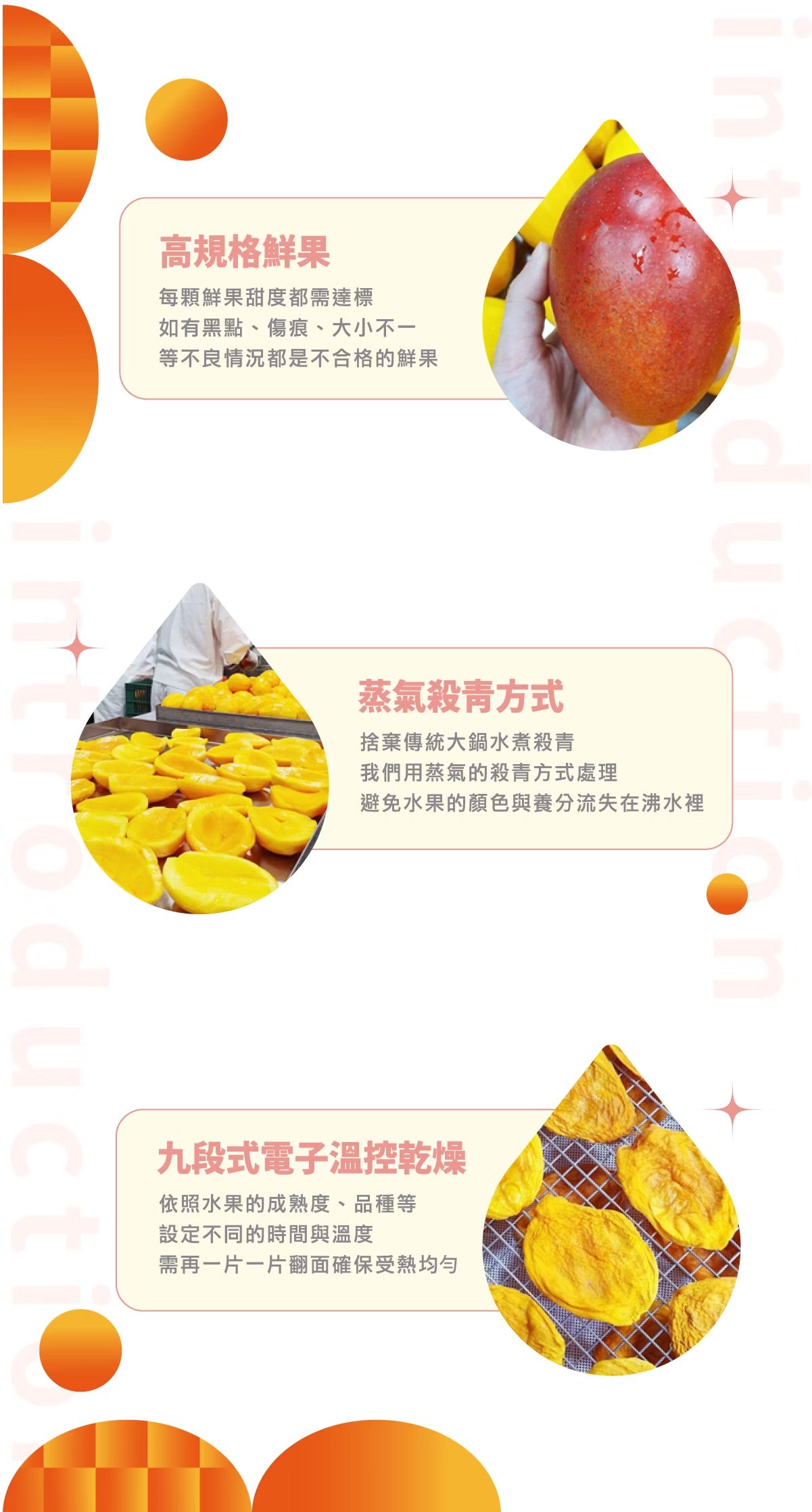 陽光菓菓 愛文芒果乾
