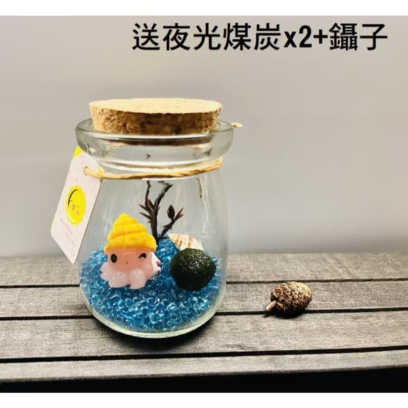 綠藻球生態瓶 微景觀生態瓶 瓶手做DIY(套裝組)(1組)