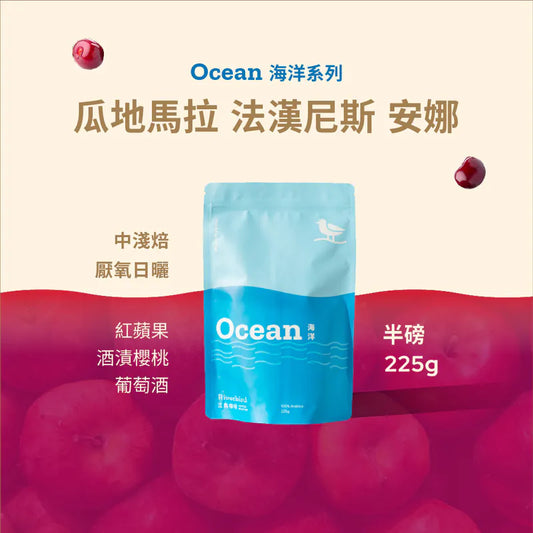 江鳥咖啡 【Riverbird】《225g》瓜地馬拉 法漢尼斯 安娜