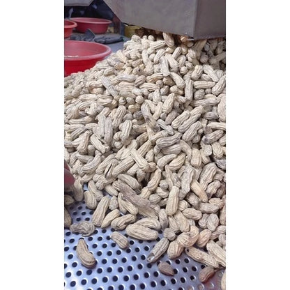雲林9號花生 九號蒜味(450g*包)