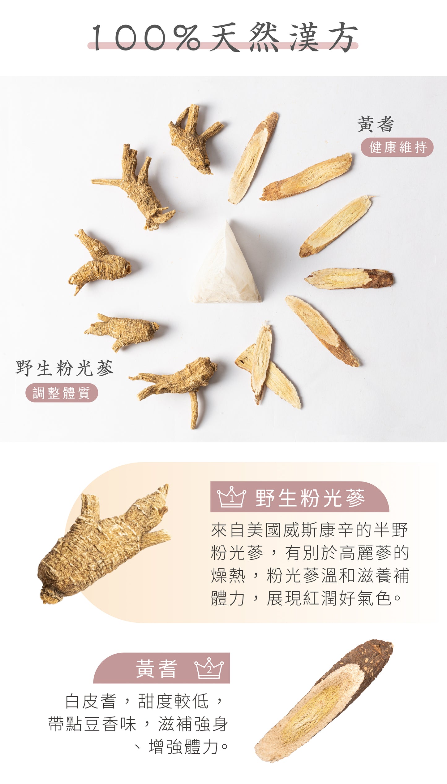 新譯漢方 潤顏粉光蔘｜漢方養生茶包 【精神養顏】 See In Herb American Ginseng Tea  (21入)