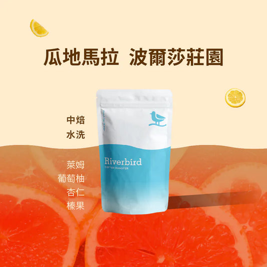 江鳥咖啡 【Riverbird】《225g》瓜地馬拉 波爾莎莊園