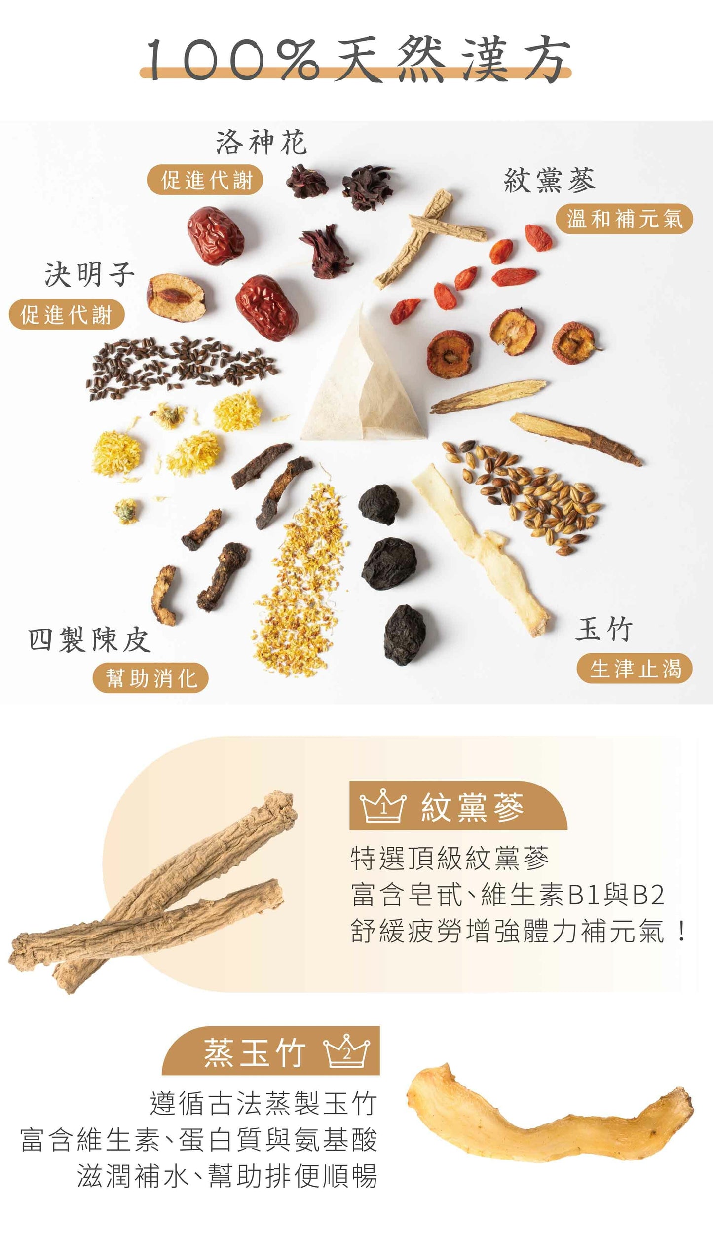 新譯漢方 元氣養生茶｜漢方養生茶包 【日常保養】 See In Herb REFRESHING HERBAL TEA (21入)