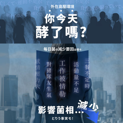 💰檔期促銷~買一送一(03.02.25)💰 纖維順暢組【Simply新普利】野菜多多酵素粉+日本專利益生菌DX(2+2組) 楊丞琳代言益生菌 300億活酵益生菌 孕婦兒童可食(2+2組、共4盒)