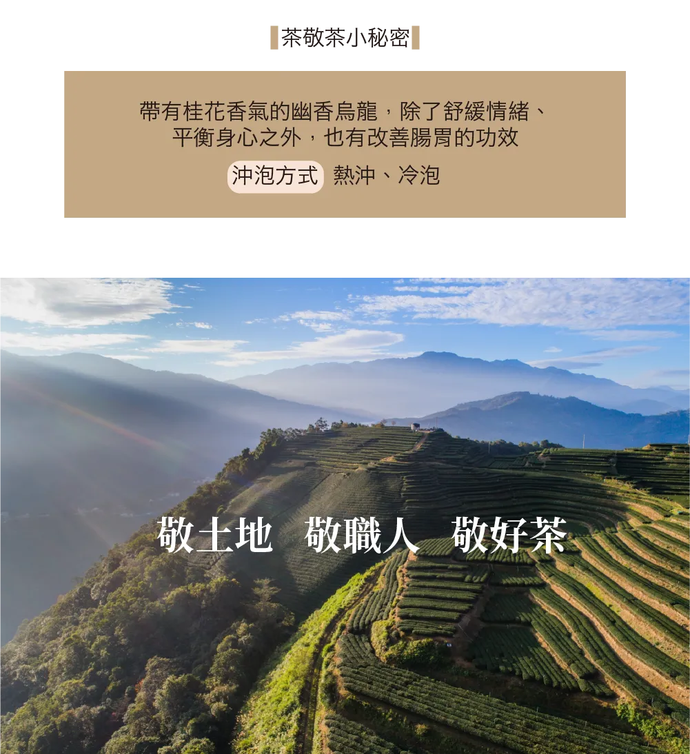 茶敬茶 幽香烏龍 Tea to Tea(10入*盒)