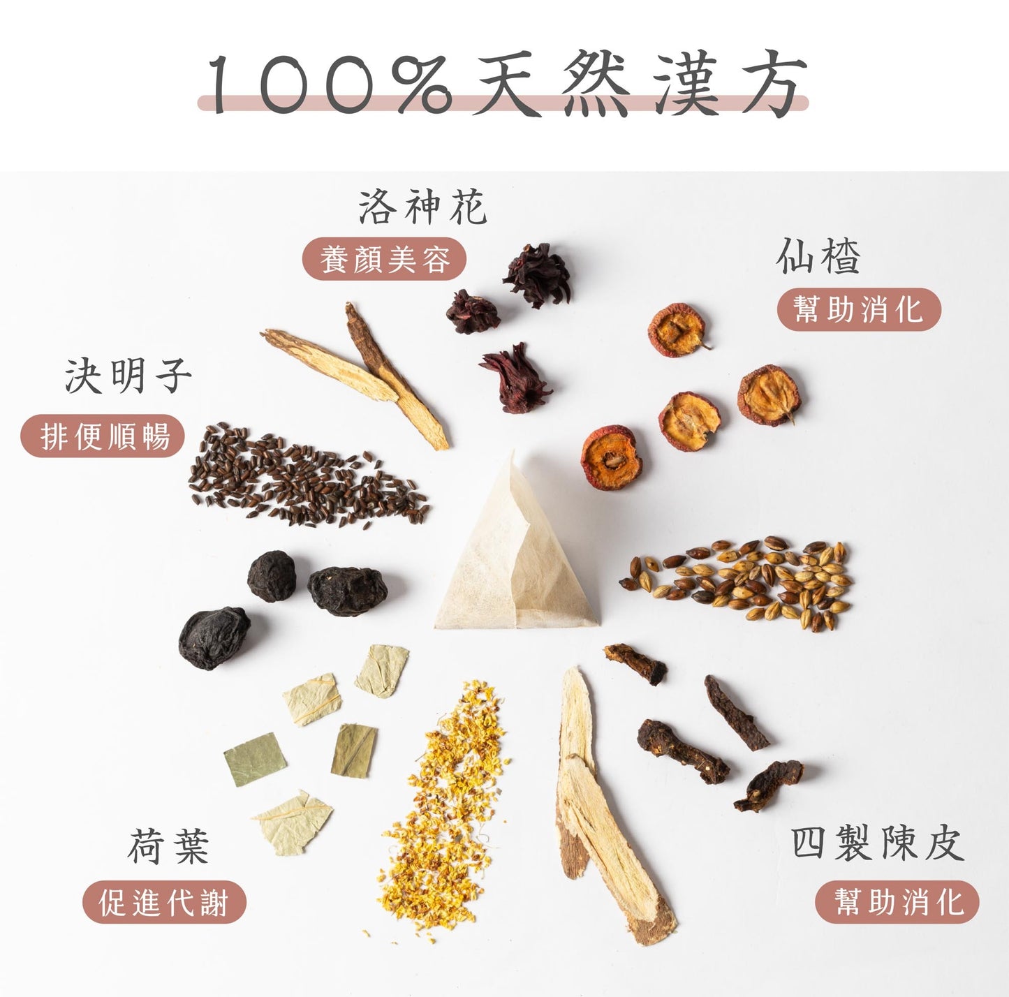 新譯漢方 洛花輕荷茶｜漢方養生茶包 【幫助代謝】SEE IN HERB Red Roselle Diet Tea(21入)